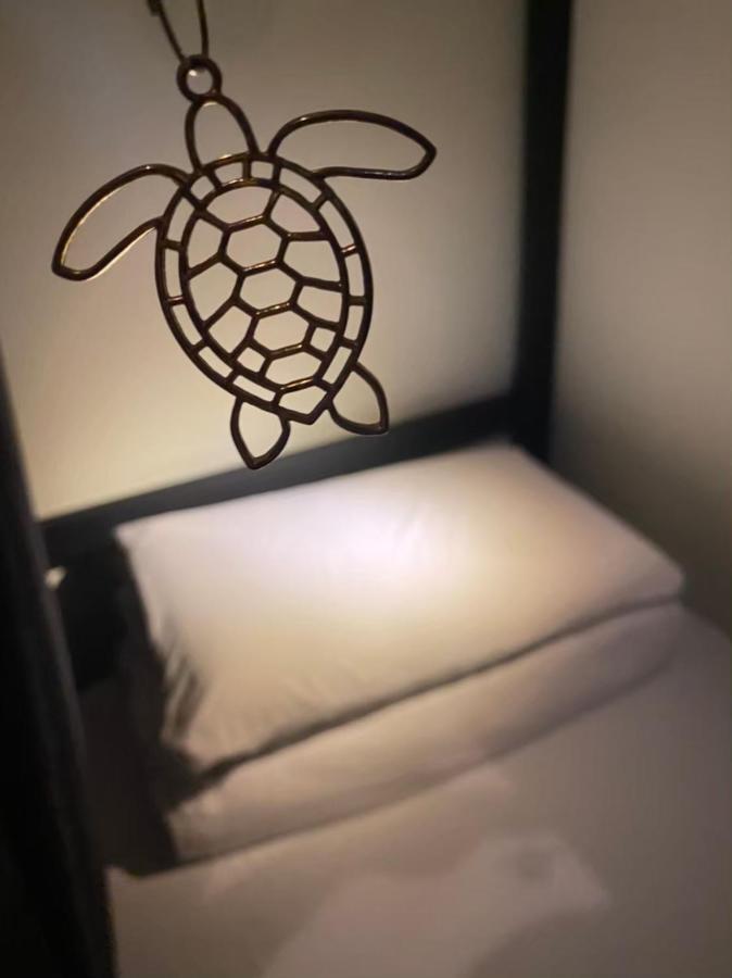 琉浪潛水背包客棧 Drift Diving Hostel Hsziaoliucsiu Kültér fotó